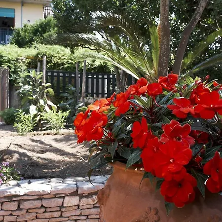 Bed & Breakfast A Casa Mia Anacapri (Isola di Capri)